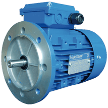 AEVH-ALB5-Induction-Electric-Motor